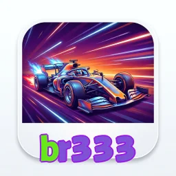 br333